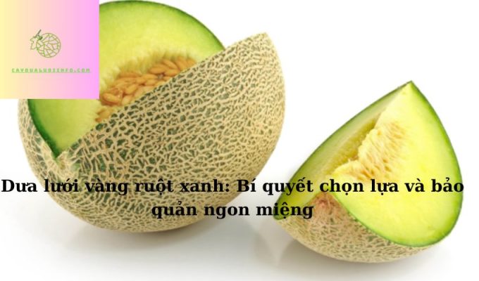 Dưa lưới vàng ruột xanh: Bí quyết chọn lựa và bảo quản ngon miệng