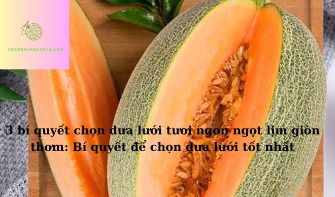 3 bí quyết chọn dưa lưới tươi ngon ngọt lịm giòn thơm: Bí quyết để chọn dưa lưới tốt nhất