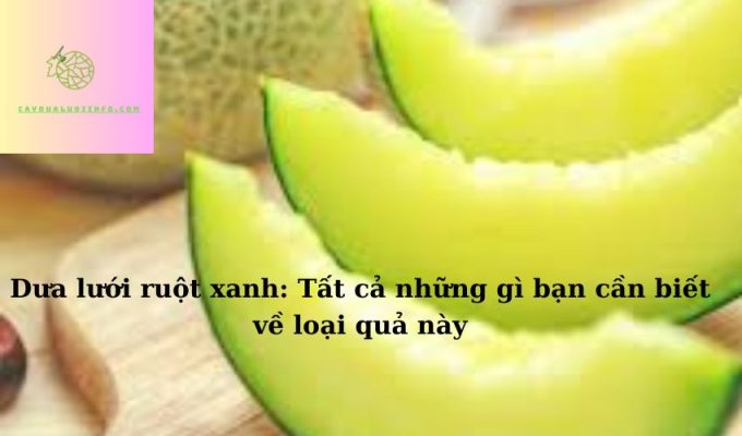 Dưa lưới ruột xanh: Tất cả những gì bạn cần biết về loại quả này