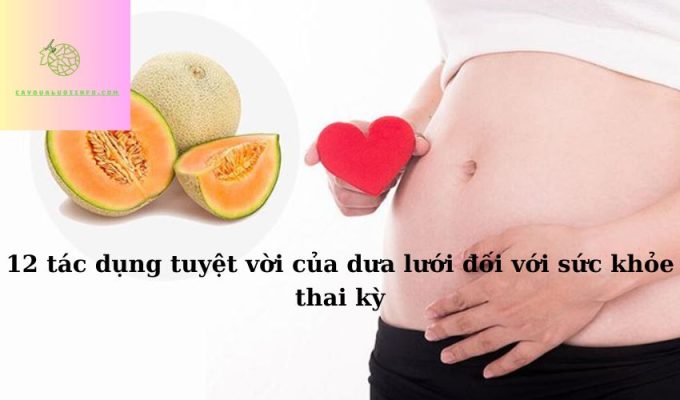 12 tác dụng tuyệt vời của dưa lưới đối với sức khỏe thai kỳ