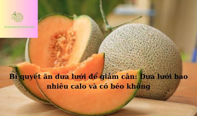 Bí quyết ăn dưa lưới để giảm cân: Dưa lưới bao nhiêu calo và có béo không