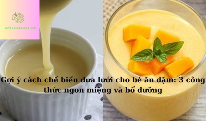 Gợi ý cách chế biến dưa lưới cho bé ăn dặm: 5 công thức ngon miệng và bổ dưỡng