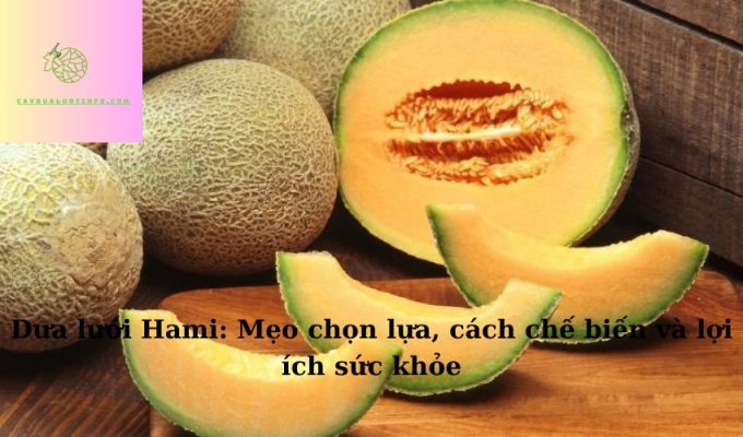 Dưa lưới Hami: Mẹo chọn lựa, cách chế biến và lợi ích sức khỏe