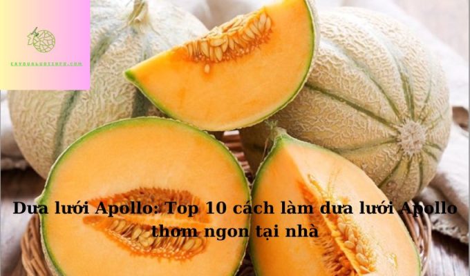 Dưa lưới Apollo: Top 10 cách làm dưa lưới Apollo thơm ngon tại nhà