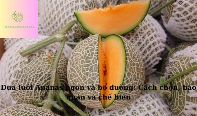 Dưa lưới Ananas ngon và bổ dưỡng: Cách chọn, bảo quản và chế biến