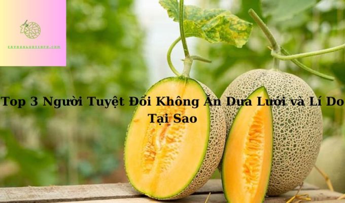 Top 3 Người Tuyệt Đối Không Ăn Dưa Lưới và Lí Do Tại Sao