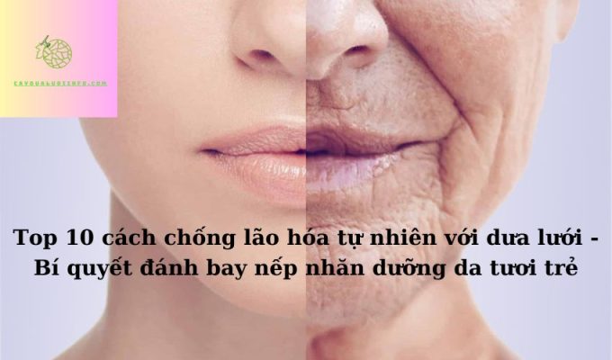 Top 10 cách chống lão hóa tự nhiên với dưa lưới - Bí quyết đánh bay nếp nhăn dưỡng da tươi trẻ