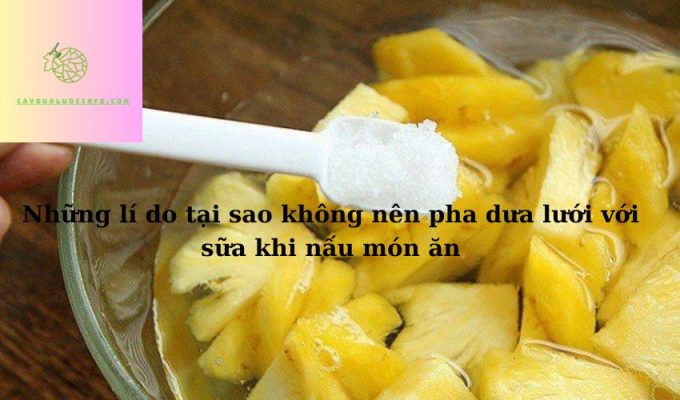 Những lí do tại sao không nên pha dưa lưới với sữa khi nấu món ăn