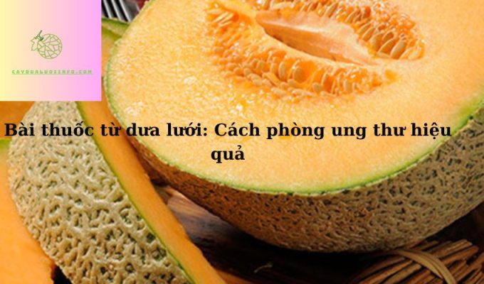 Bài thuốc từ dưa lưới: Cách phòng ung thư hiệu quả