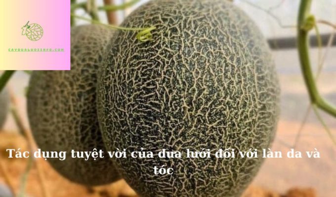 Tác dụng tuyệt vời của dưa lưới đối với làn da và tóc