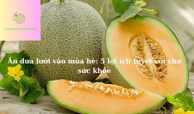 Ăn dưa lưới vào mùa hè: 5 lợi ích tuyệt vời cho sức khỏe