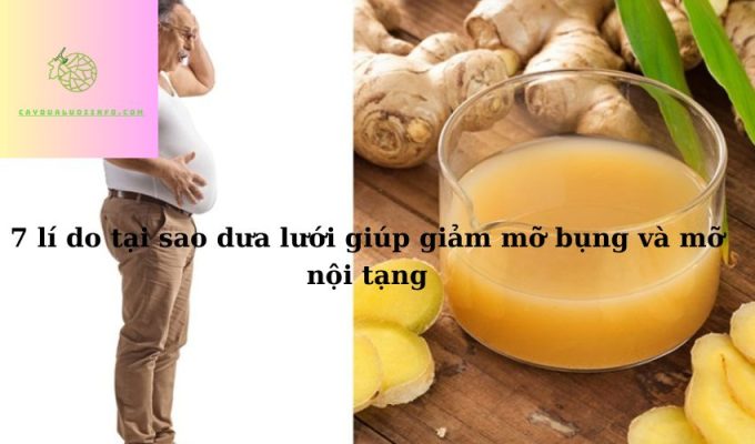 7 lí do tại sao dưa lưới giúp giảm mỡ bụng và mỡ nội tạng